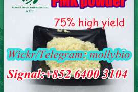 Reliable supplier PMK oil Cas28578-16-7 PMK powder