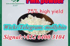 Holland Safety delivery Cas28578-16-7 PMK powder